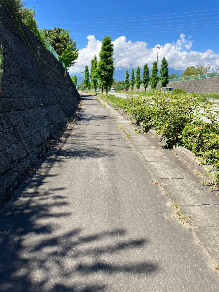 f:id:masaru-arameya:20220905133558j:image f:id:masaru-arameya:20220905133558j:image