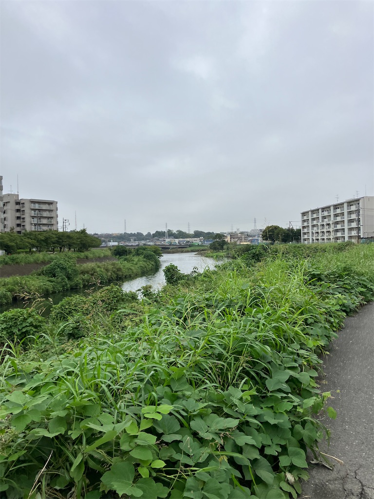 f:id:masaru-arameya:20220923162319j:image f:id:masaru-arameya:20220923162319j:image