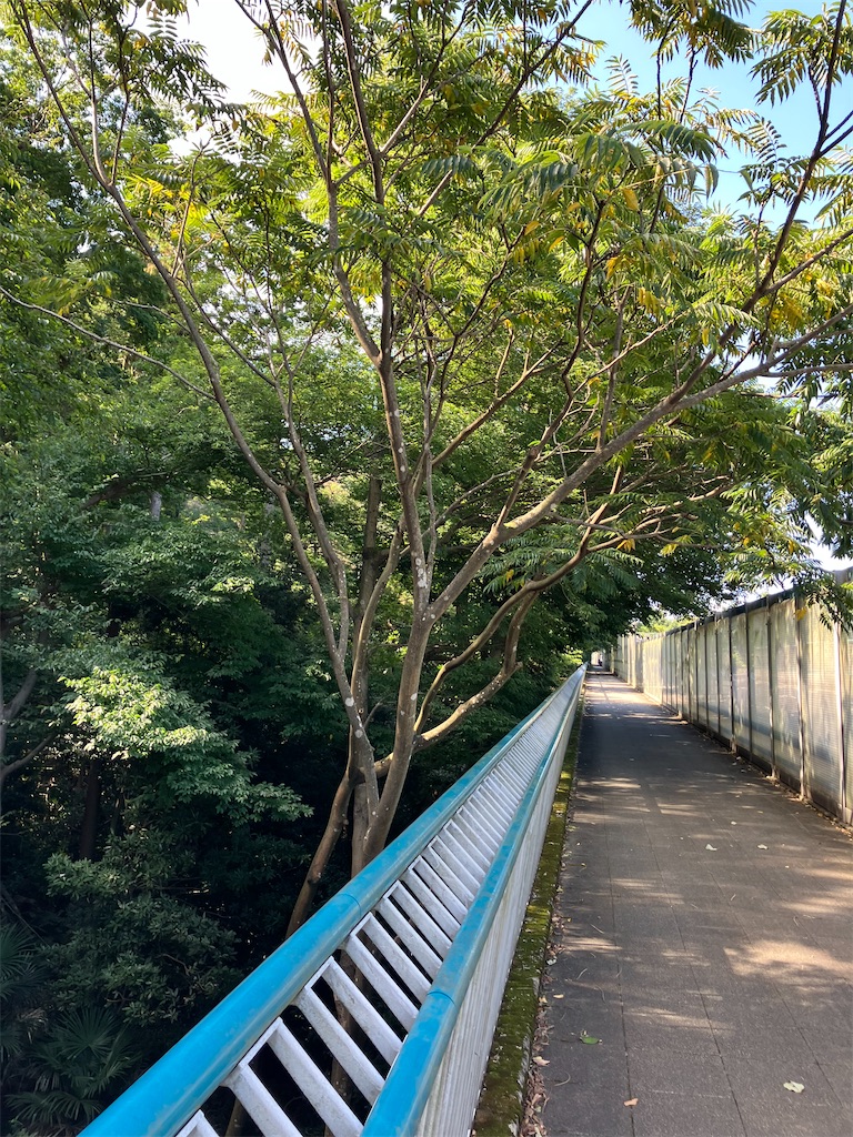 f:id:masaru-arameya:20221003123030j:image f:id:masaru-arameya:20221003123030j:image