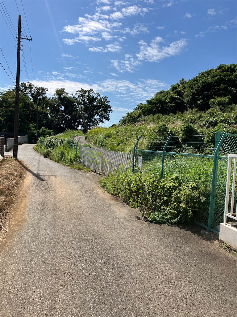 f:id:masaru-arameya:20221003123532j:image f:id:masaru-arameya:20221003123532j:image