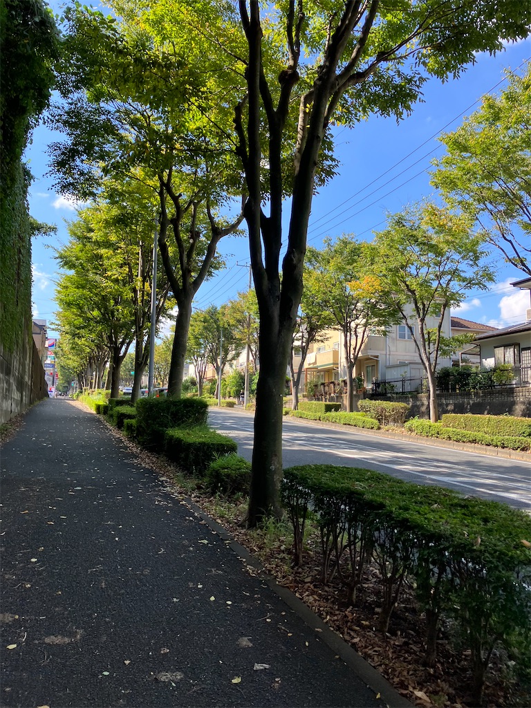 f:id:masaru-arameya:20221003123852j:image f:id:masaru-arameya:20221003123852j:image