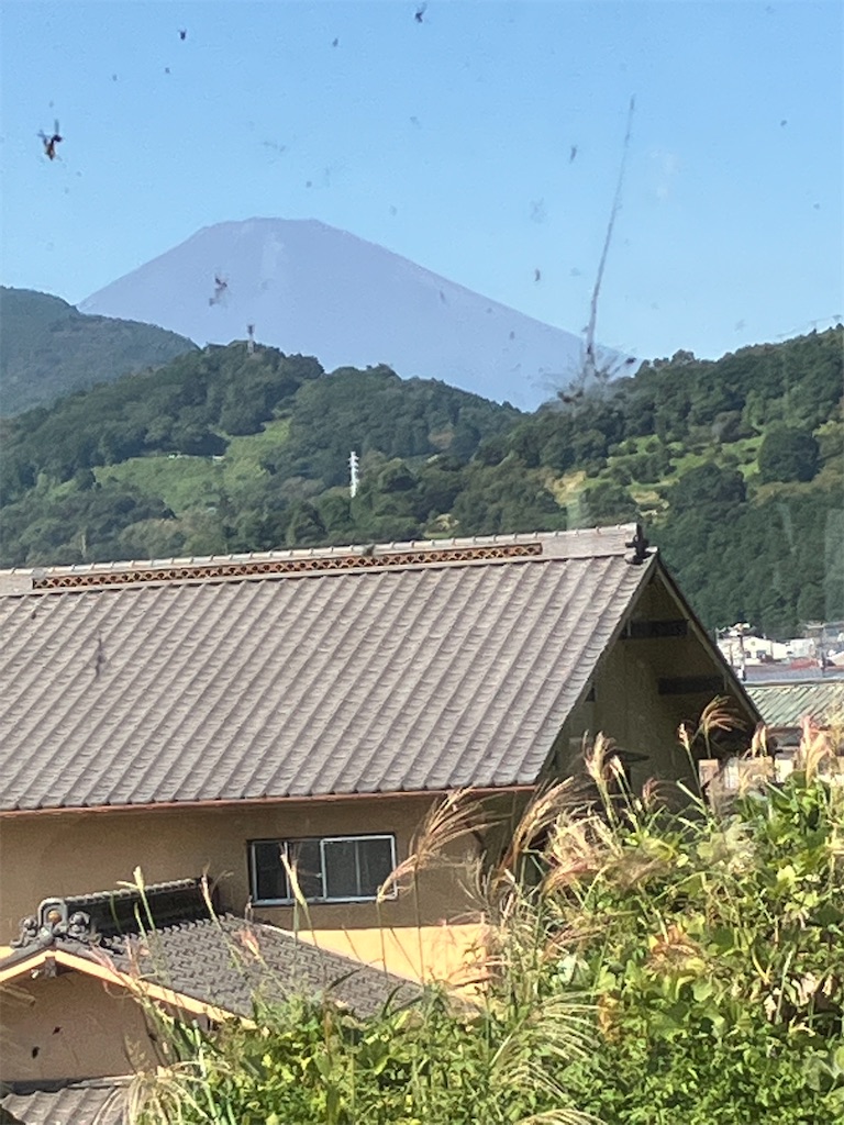 f:id:masaru-arameya:20221004150740j:image f:id:masaru-arameya:20221004150740j:image