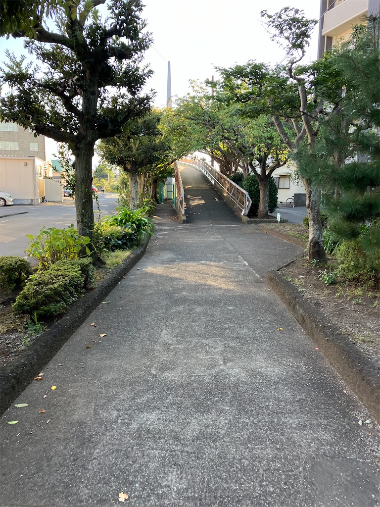 f:id:masaru-arameya:20221007094951j:image f:id:masaru-arameya:20221007094951j:image