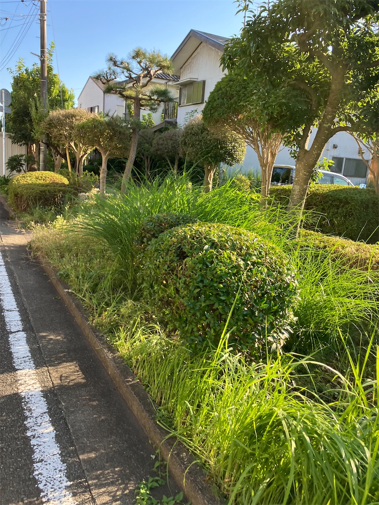 f:id:masaru-arameya:20221007095200j:image f:id:masaru-arameya:20221007095200j:image