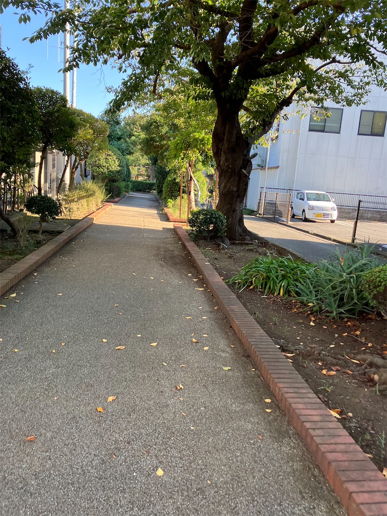 f:id:masaru-arameya:20221007095235j:image f:id:masaru-arameya:20221007095235j:image