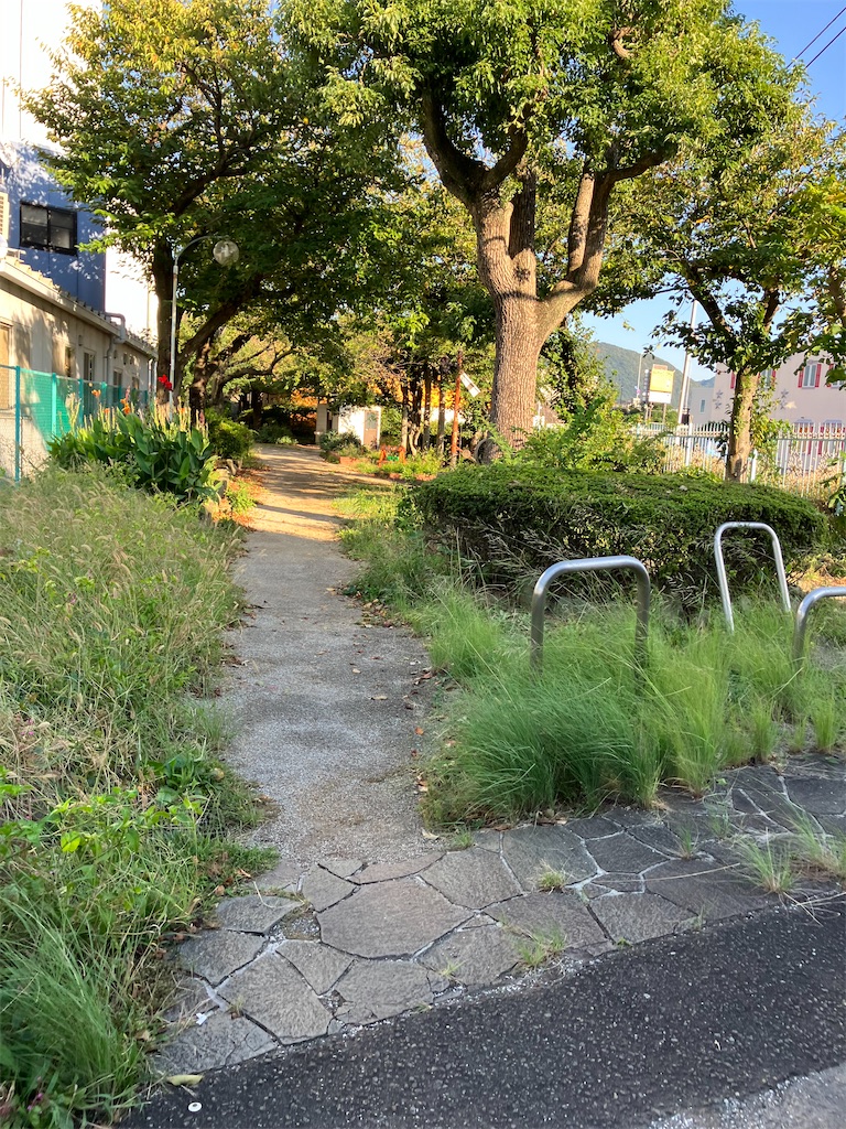 f:id:masaru-arameya:20221007101126j:image f:id:masaru-arameya:20221007101126j:image