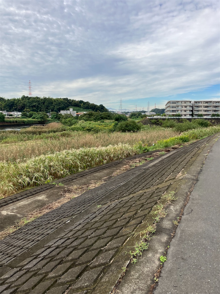 f:id:masaru-arameya:20221008134258j:image f:id:masaru-arameya:20221008134258j:image