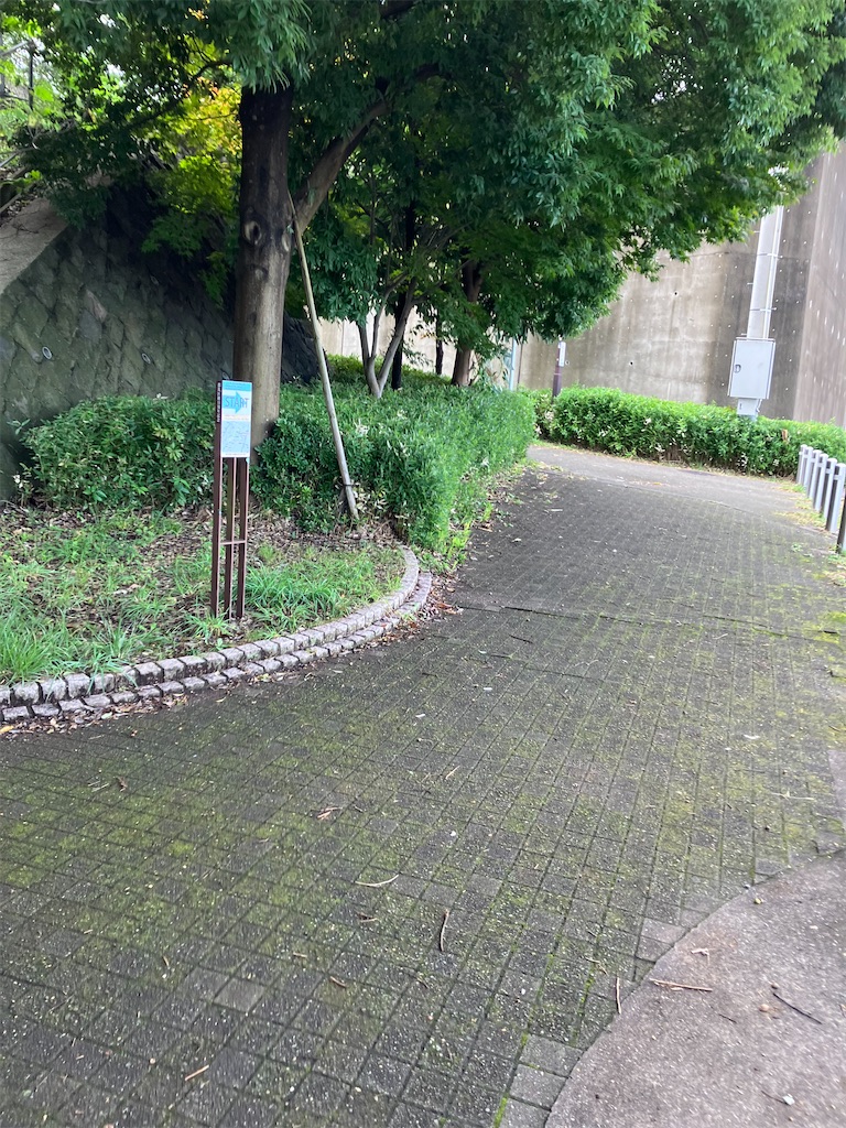 f:id:masaru-arameya:20221008134442j:image f:id:masaru-arameya:20221008134442j:image