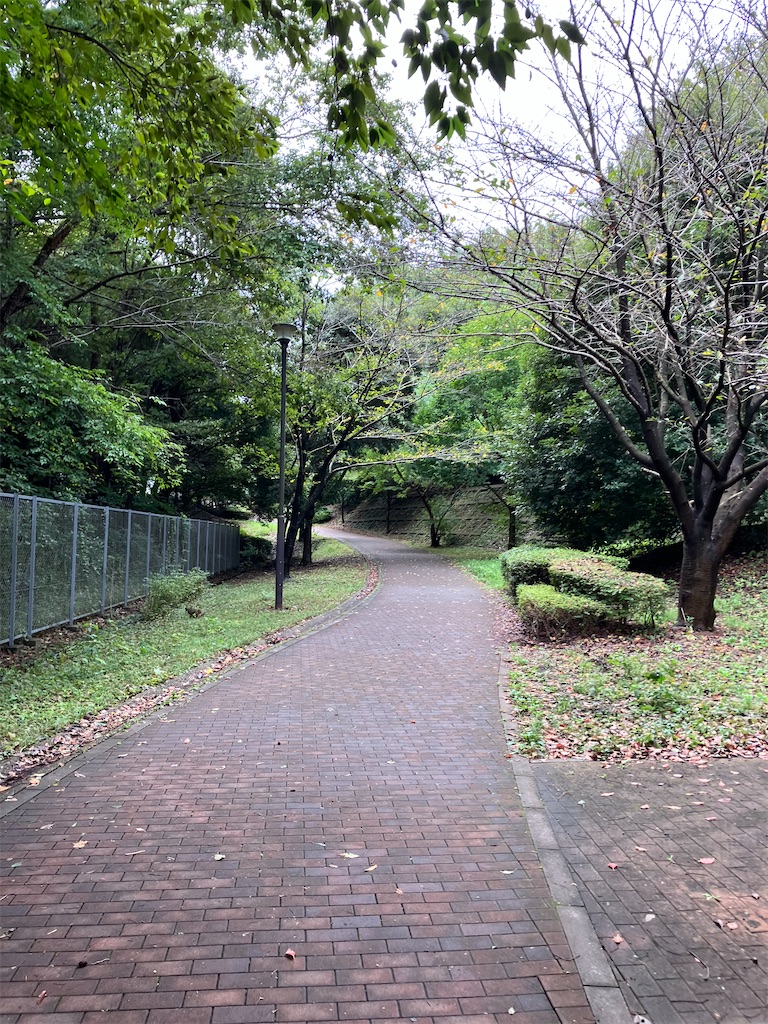 f:id:masaru-arameya:20221008134540j:image f:id:masaru-arameya:20221008134540j:image