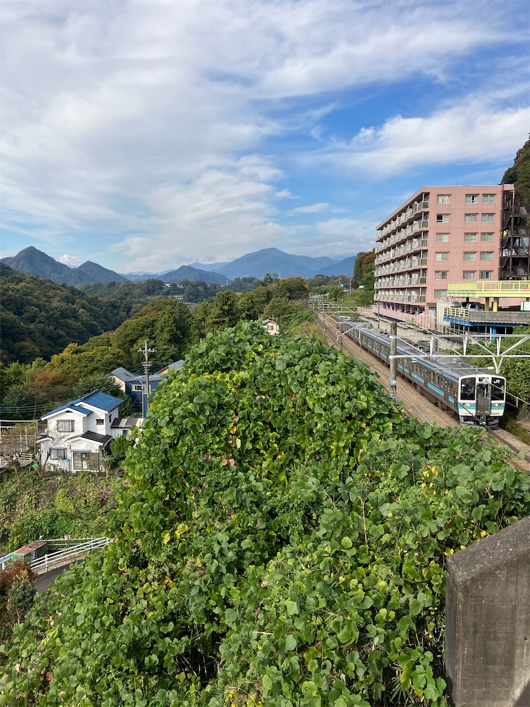 f:id:masaru-arameya:20221031093340j:image f:id:masaru-arameya:20221031093340j:image