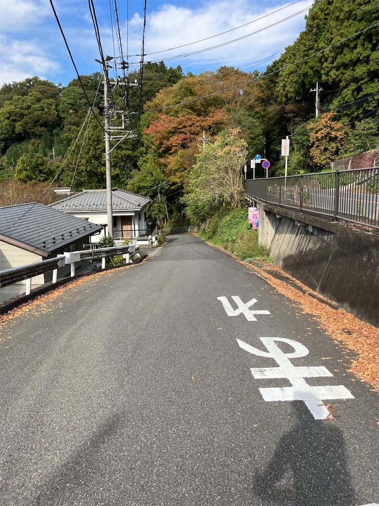 f:id:masaru-arameya:20221031093347j:image f:id:masaru-arameya:20221031093347j:image