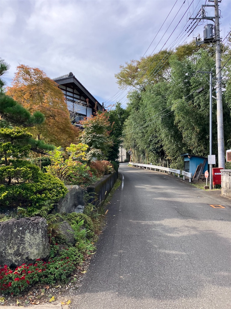 f:id:masaru-arameya:20221031094906j:image f:id:masaru-arameya:20221031094906j:image