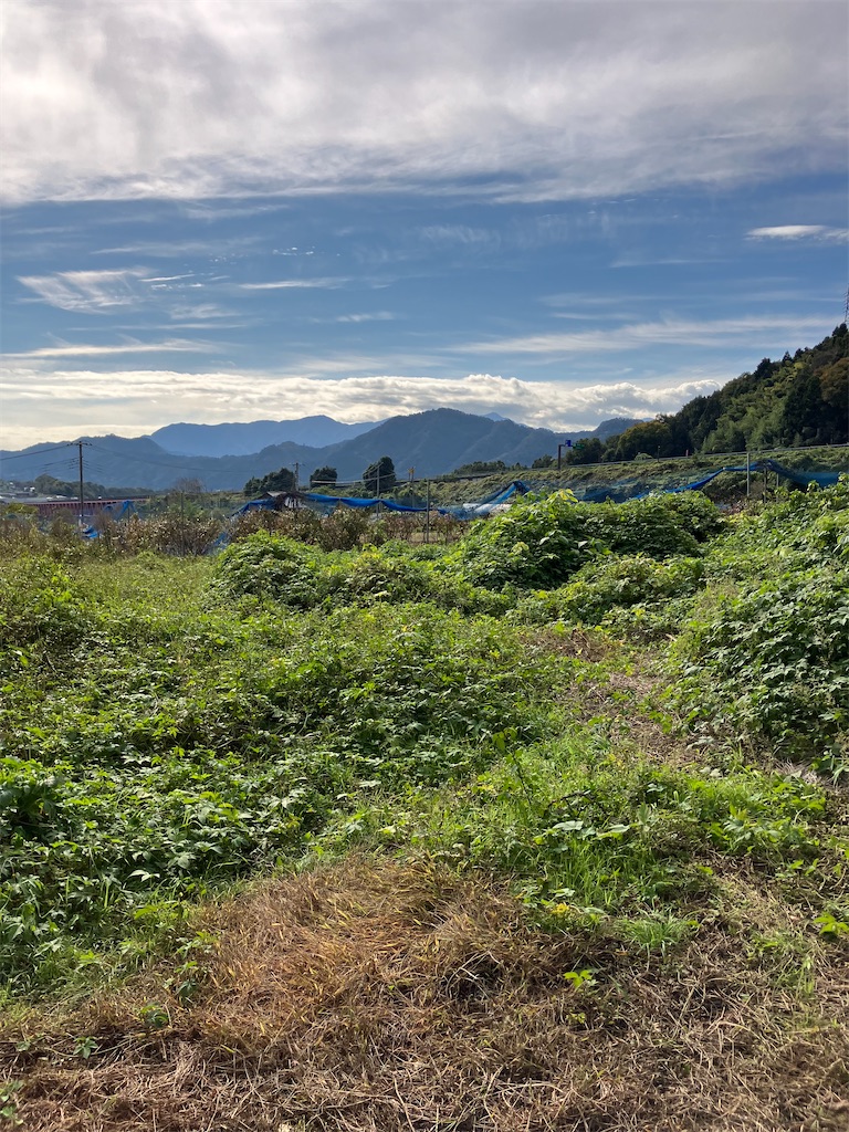 f:id:masaru-arameya:20221031094912j:image f:id:masaru-arameya:20221031094912j:image