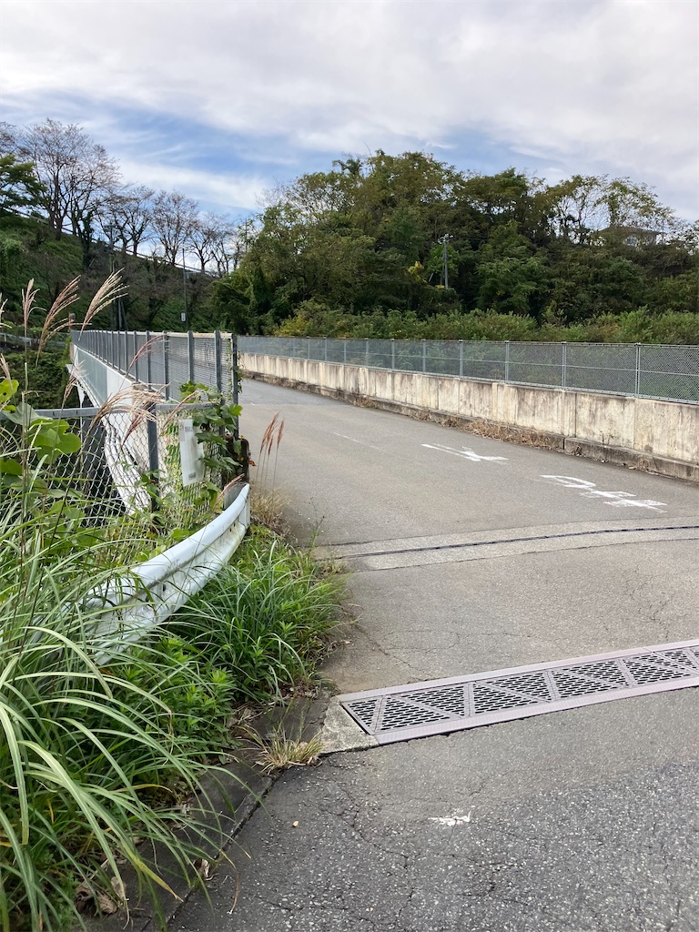 f:id:masaru-arameya:20221031095021j:image f:id:masaru-arameya:20221031095021j:image