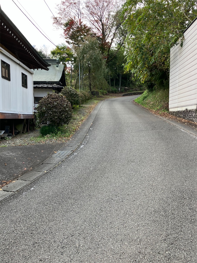 f:id:masaru-arameya:20221031131102j:image f:id:masaru-arameya:20221031131102j:image