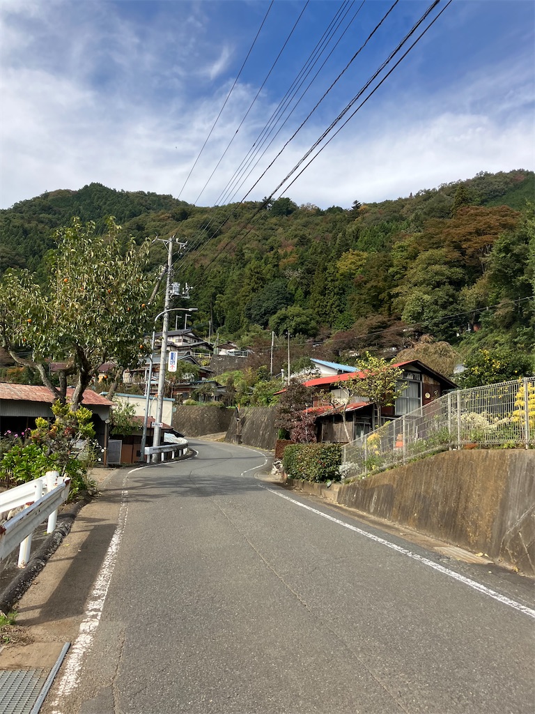 f:id:masaru-arameya:20221031131528j:image f:id:masaru-arameya:20221031131528j:image