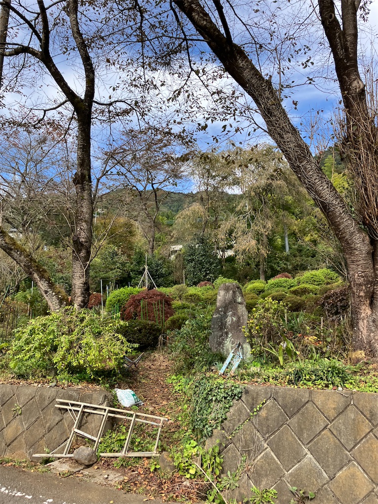 f:id:masaru-arameya:20221031132142j:image f:id:masaru-arameya:20221031132142j:image