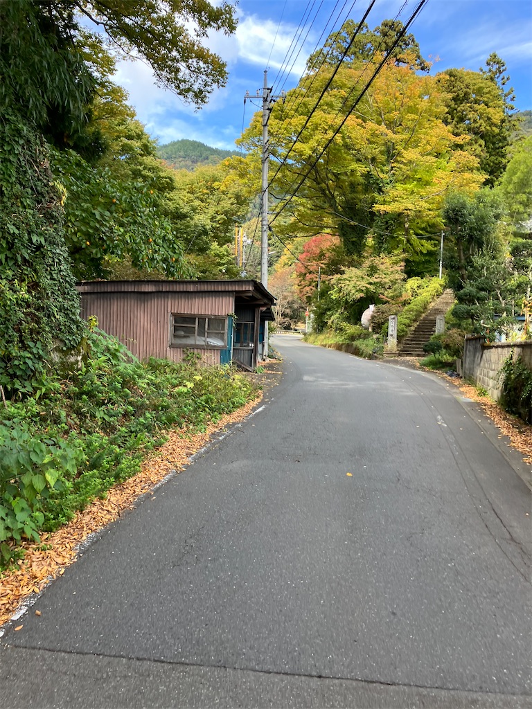 f:id:masaru-arameya:20221031133032j:image f:id:masaru-arameya:20221031133032j:image