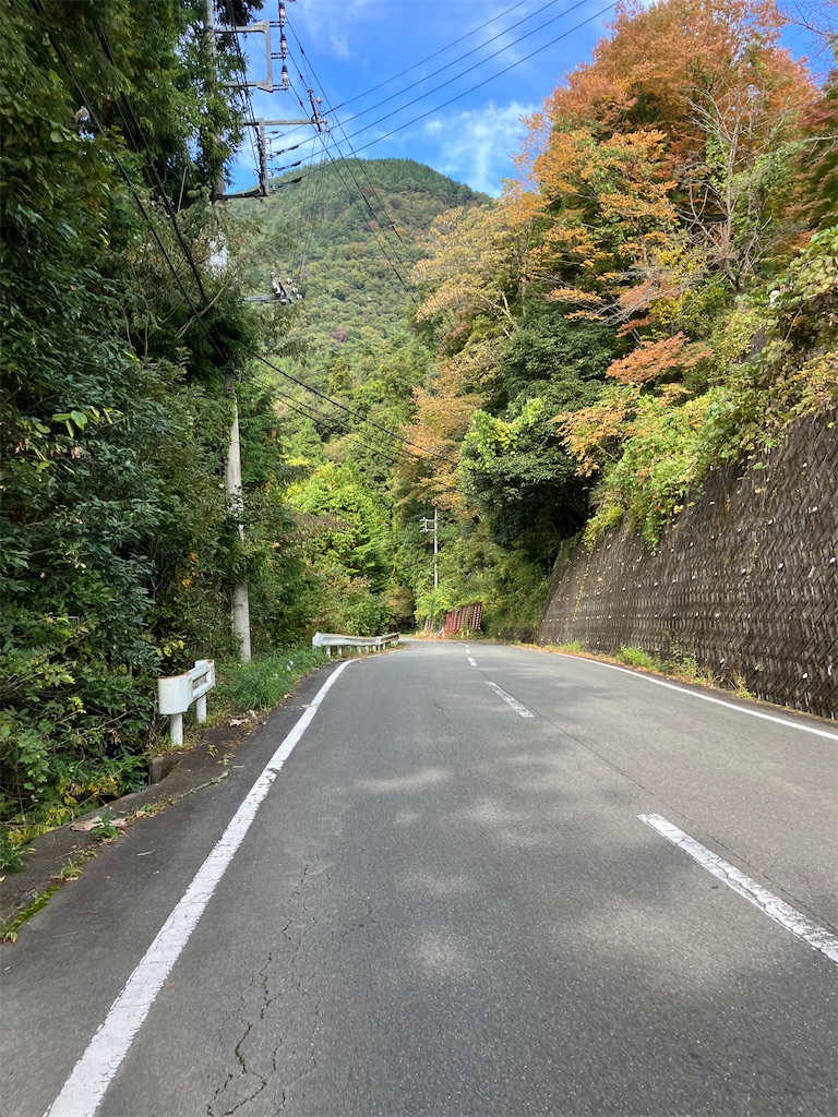 f:id:masaru-arameya:20221031133035j:image f:id:masaru-arameya:20221031133035j:image