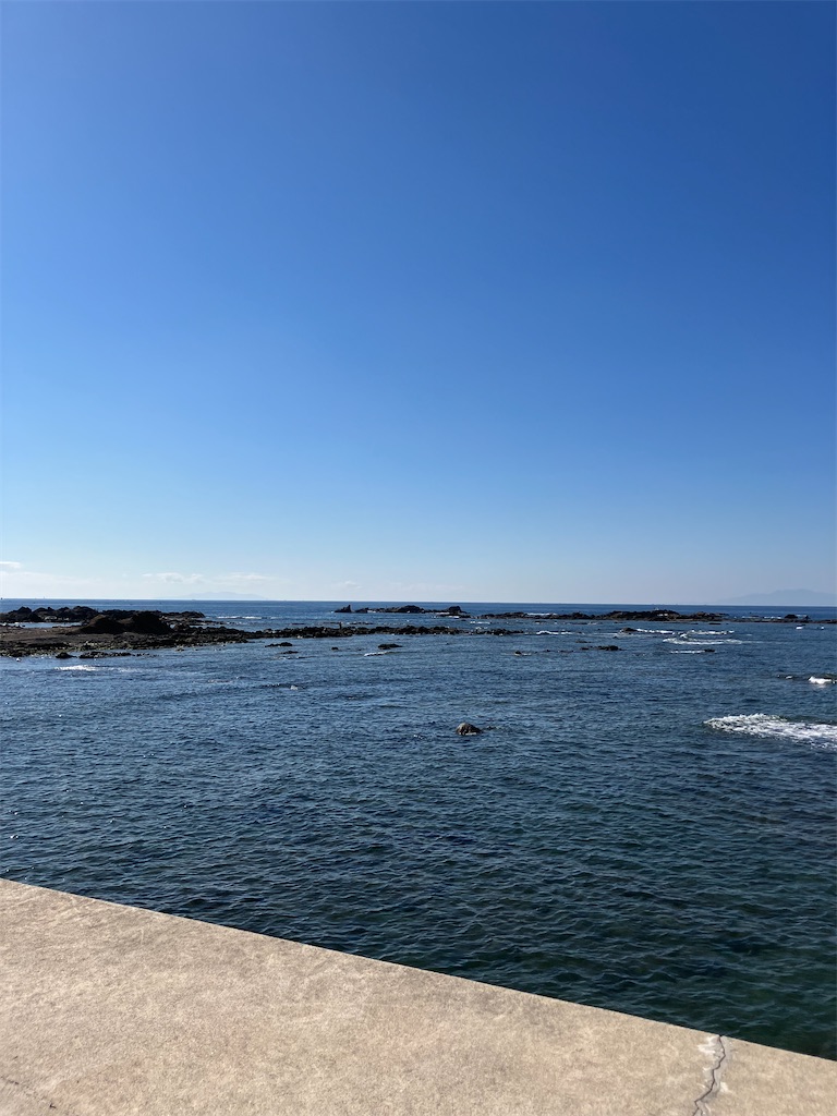 f:id:masaru-arameya:20221104144848j:image f:id:masaru-arameya:20221104144848j:image