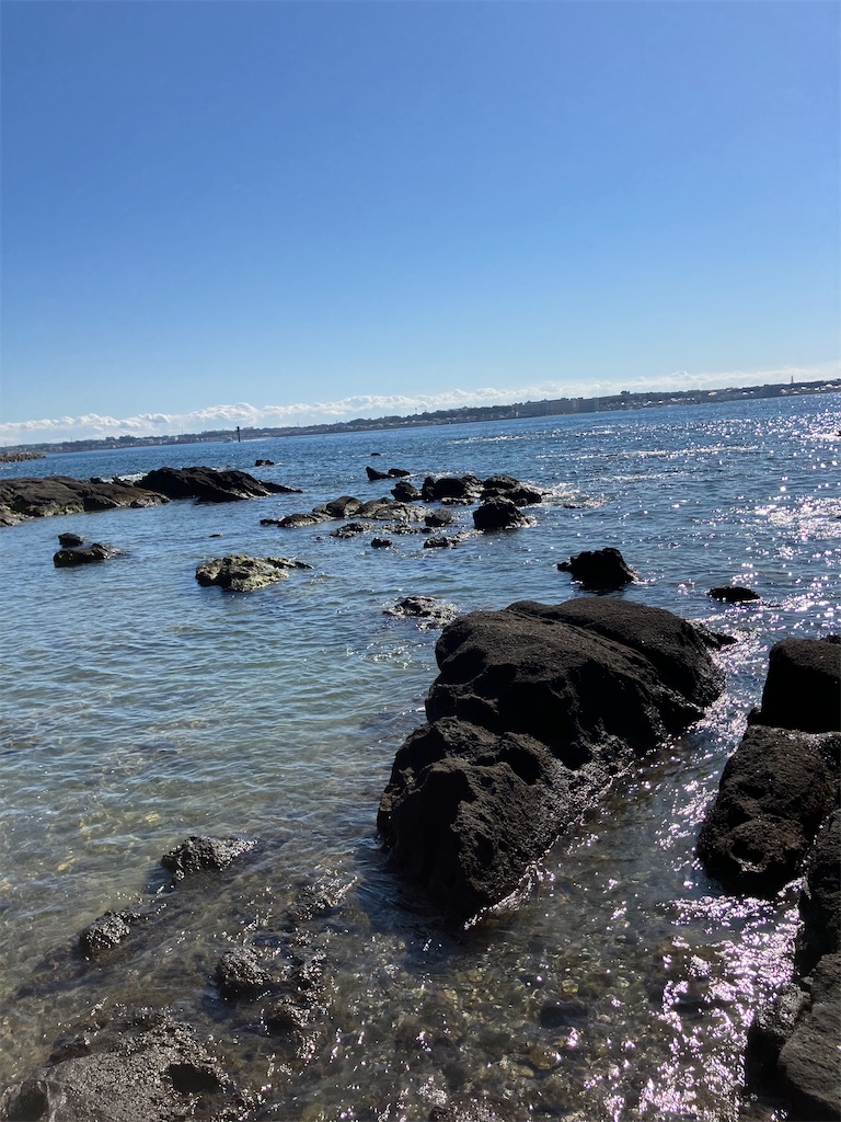 f:id:masaru-arameya:20221104145258j:image f:id:masaru-arameya:20221104145258j:image