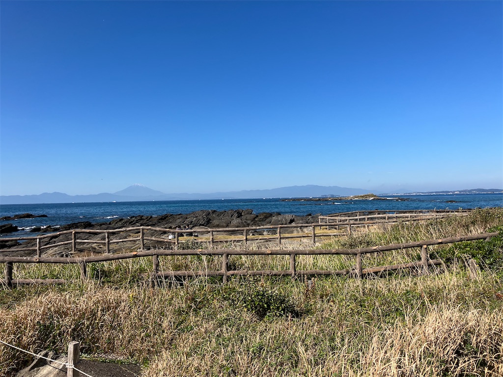 f:id:masaru-arameya:20221104145302j:image f:id:masaru-arameya:20221104145302j:image