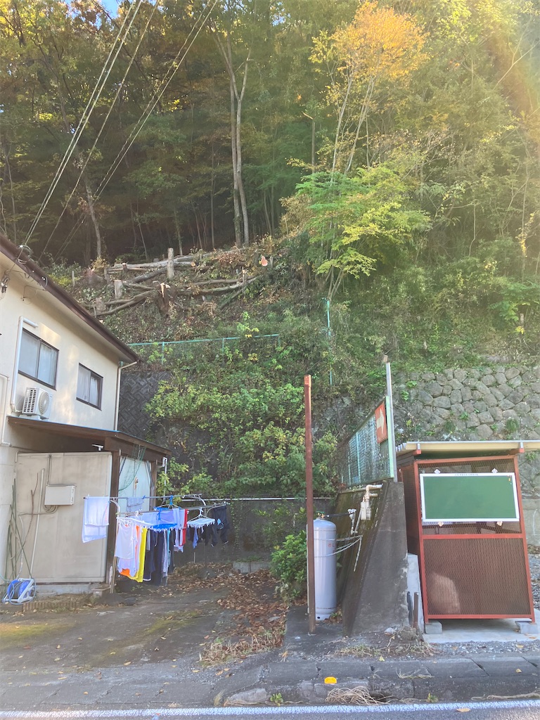 f:id:masaru-arameya:20221107131930j:image f:id:masaru-arameya:20221107131930j:image