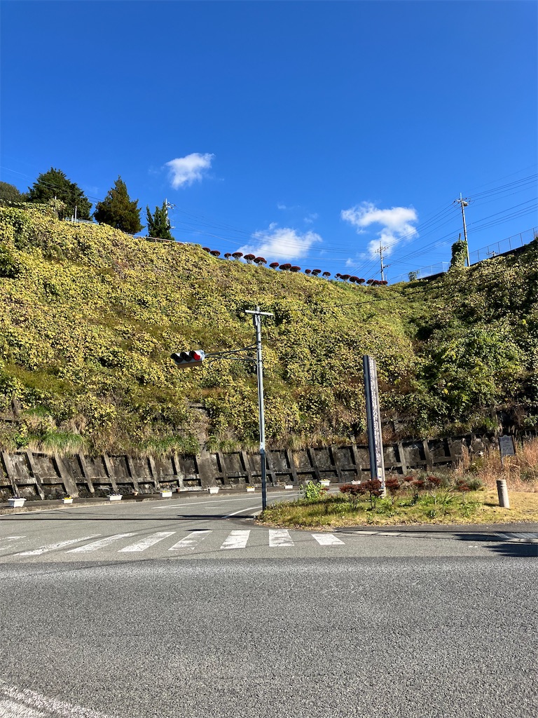 f:id:masaru-arameya:20221107132111j:image f:id:masaru-arameya:20221107132111j:image