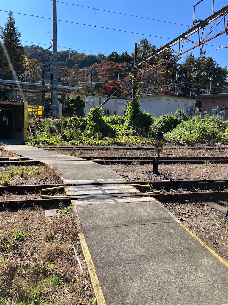f:id:masaru-arameya:20221107170634j:image f:id:masaru-arameya:20221107170634j:image