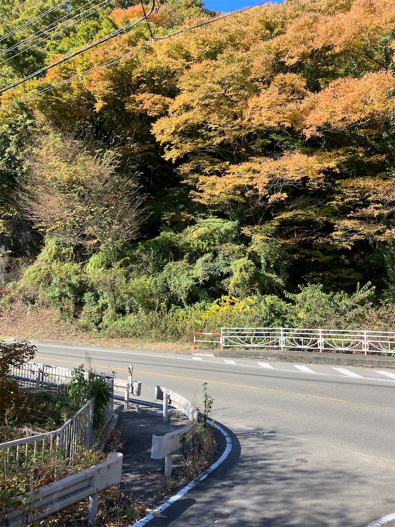 f:id:masaru-arameya:20221111132527j:image f:id:masaru-arameya:20221111132527j:image