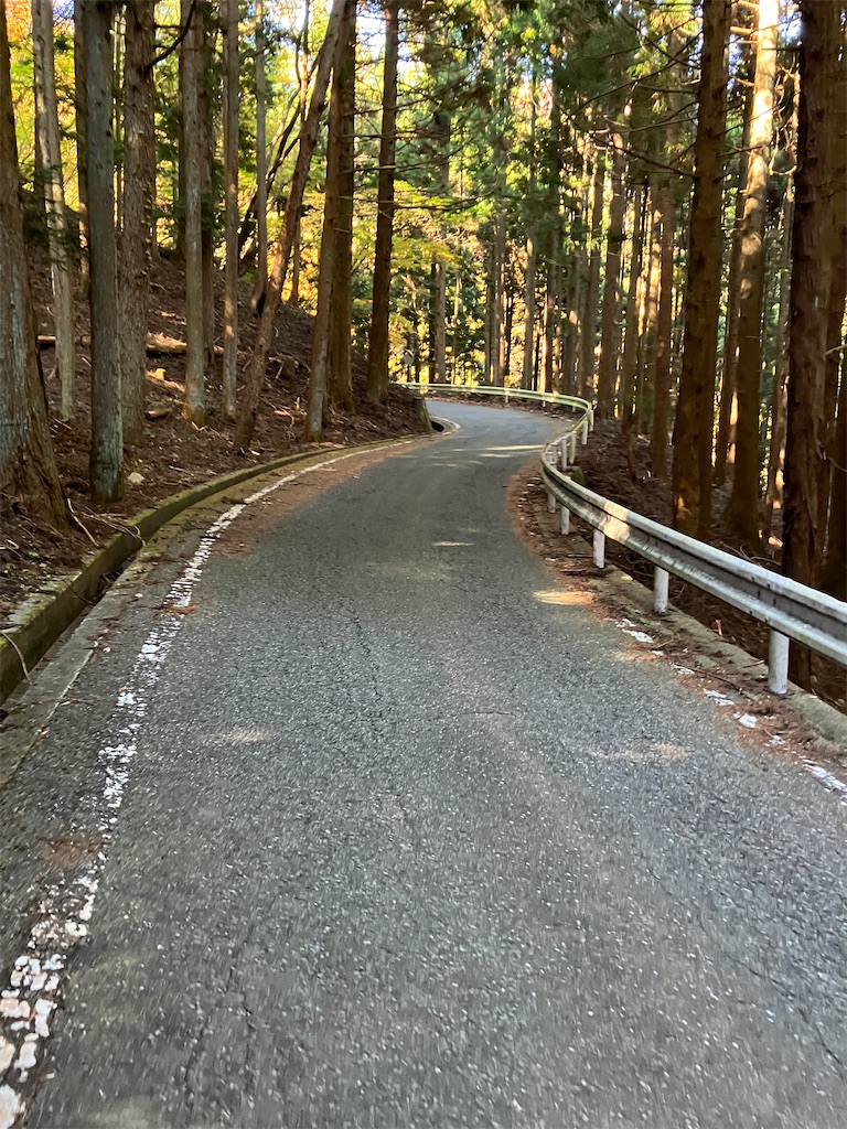 f:id:masaru-arameya:20221111194249j:image f:id:masaru-arameya:20221111194249j:image