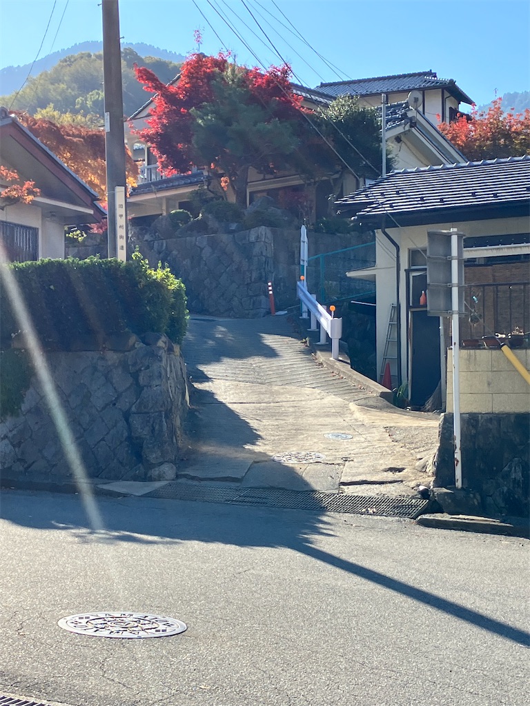 f:id:masaru-arameya:20221111200817j:image f:id:masaru-arameya:20221111200817j:image