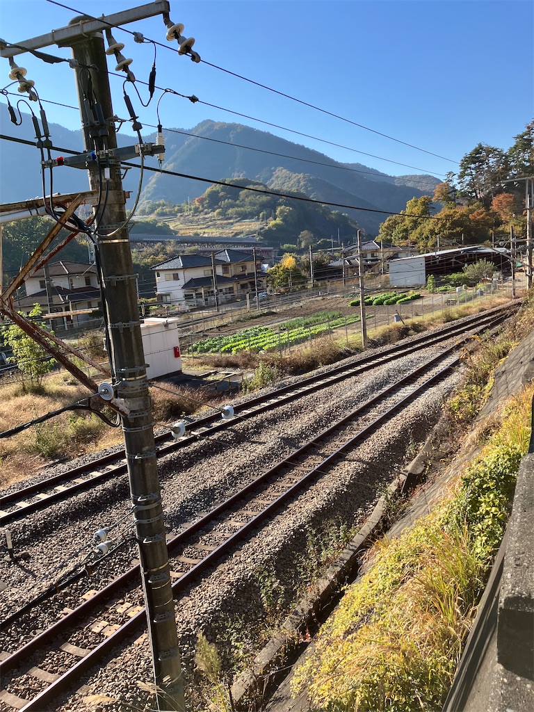 f:id:masaru-arameya:20221111201207j:image f:id:masaru-arameya:20221111201207j:image