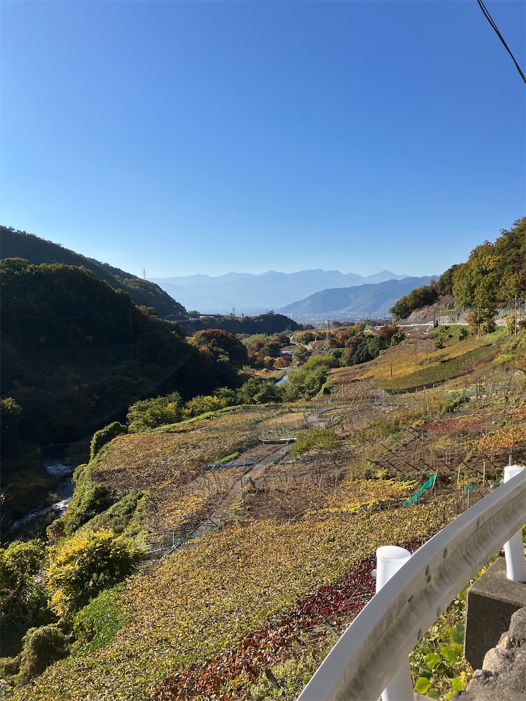 f:id:masaru-arameya:20221111201234j:image f:id:masaru-arameya:20221111201234j:image