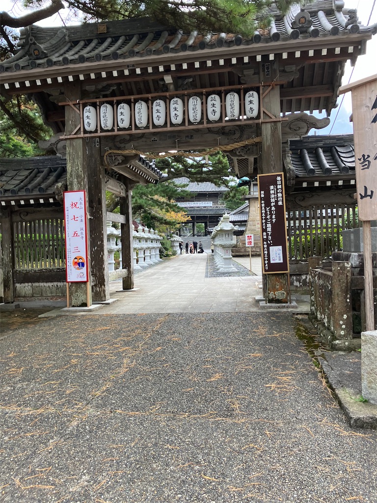 f:id:masaru-arameya:20221113171930j:image f:id:masaru-arameya:20221113171930j:image