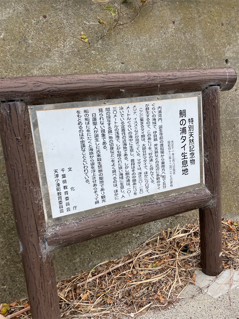 f:id:masaru-arameya:20221113172009j:image f:id:masaru-arameya:20221113172009j:image