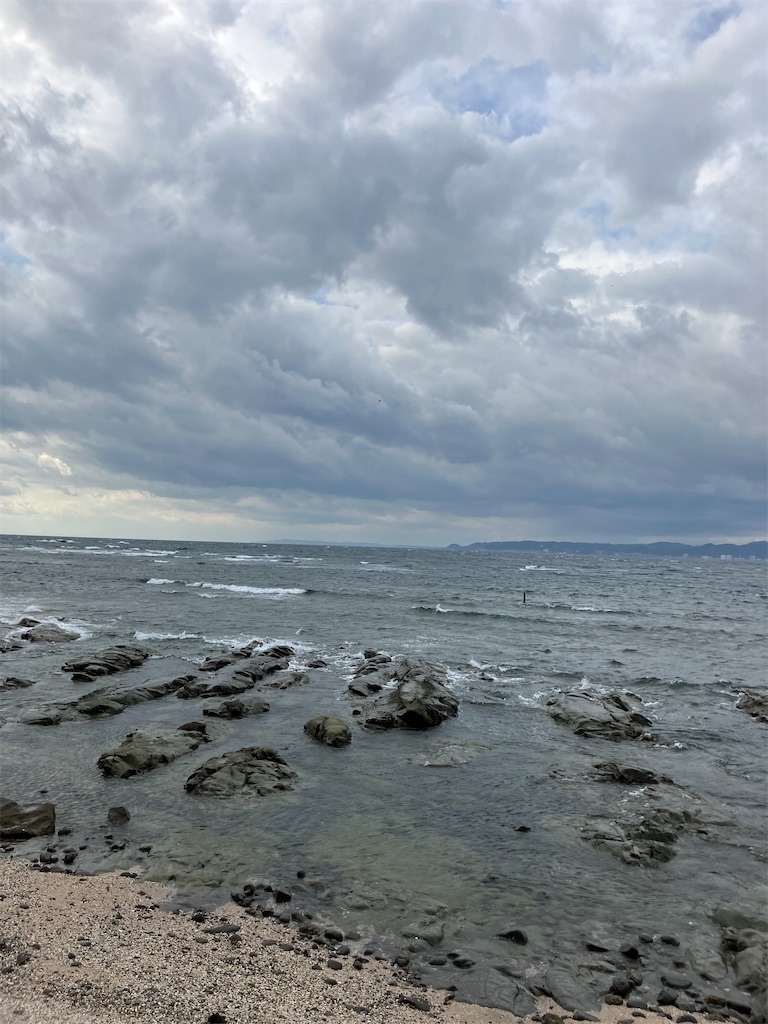 f:id:masaru-arameya:20221113172013j:image f:id:masaru-arameya:20221113172013j:image