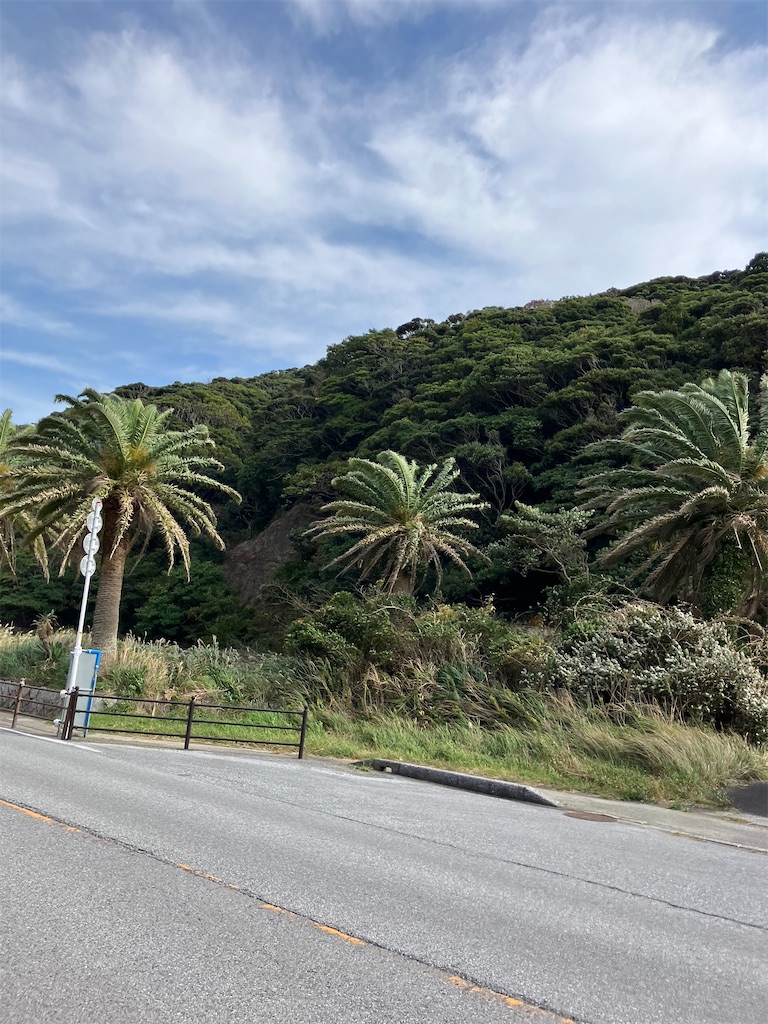 f:id:masaru-arameya:20221113172525j:image f:id:masaru-arameya:20221113172525j:image