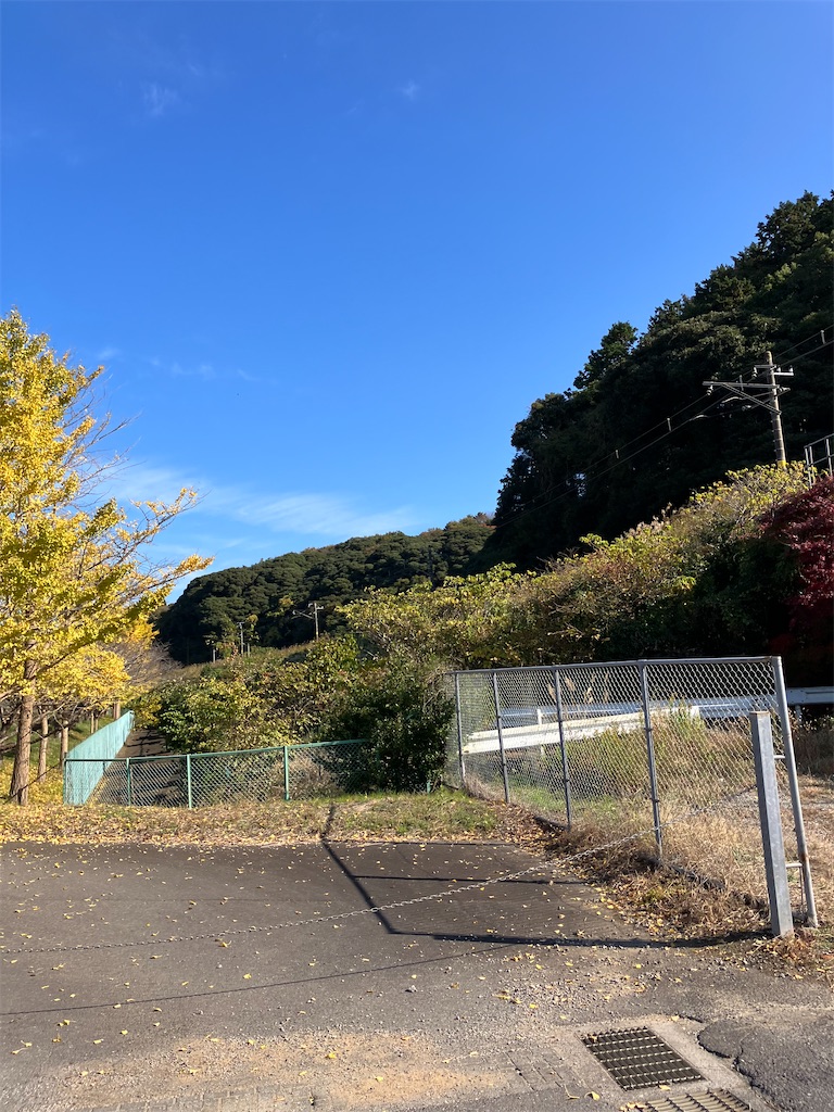 f:id:masaru-arameya:20221119183415j:image f:id:masaru-arameya:20221119183415j:image