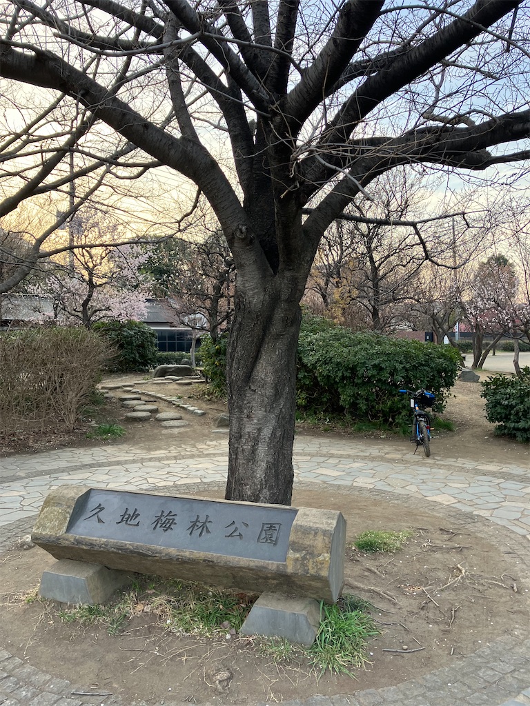 f:id:masaru-arameya:20230305162017j:image