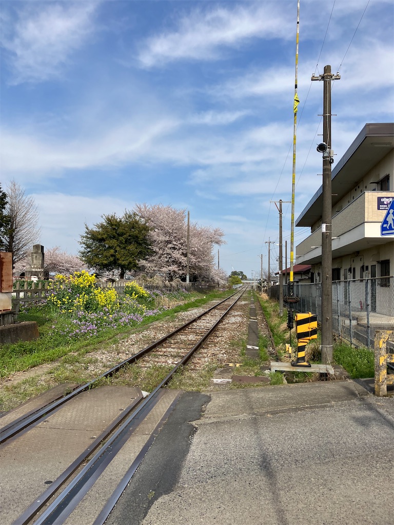 f:id:masaru-arameya:20230331173007j:image f:id:masaru-arameya:20230331173007j:image