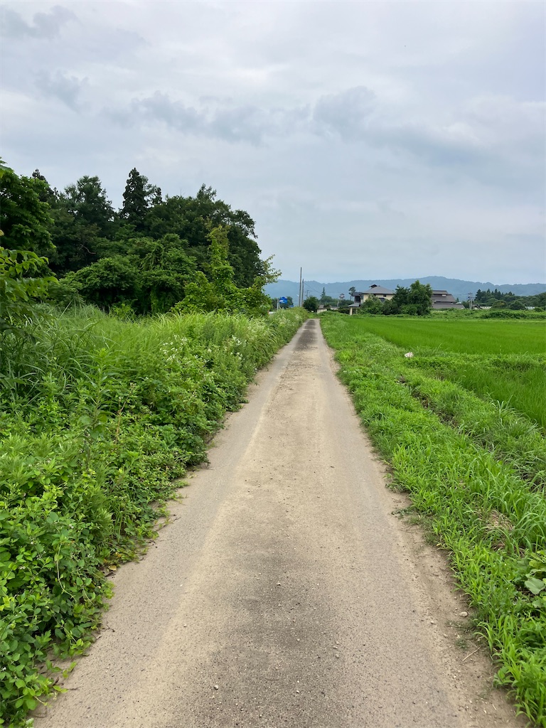 f:id:masaru-arameya:20230721134209j:image