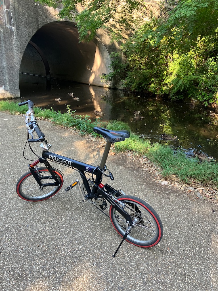 f:id:masaru-arameya:20230806070322j:image