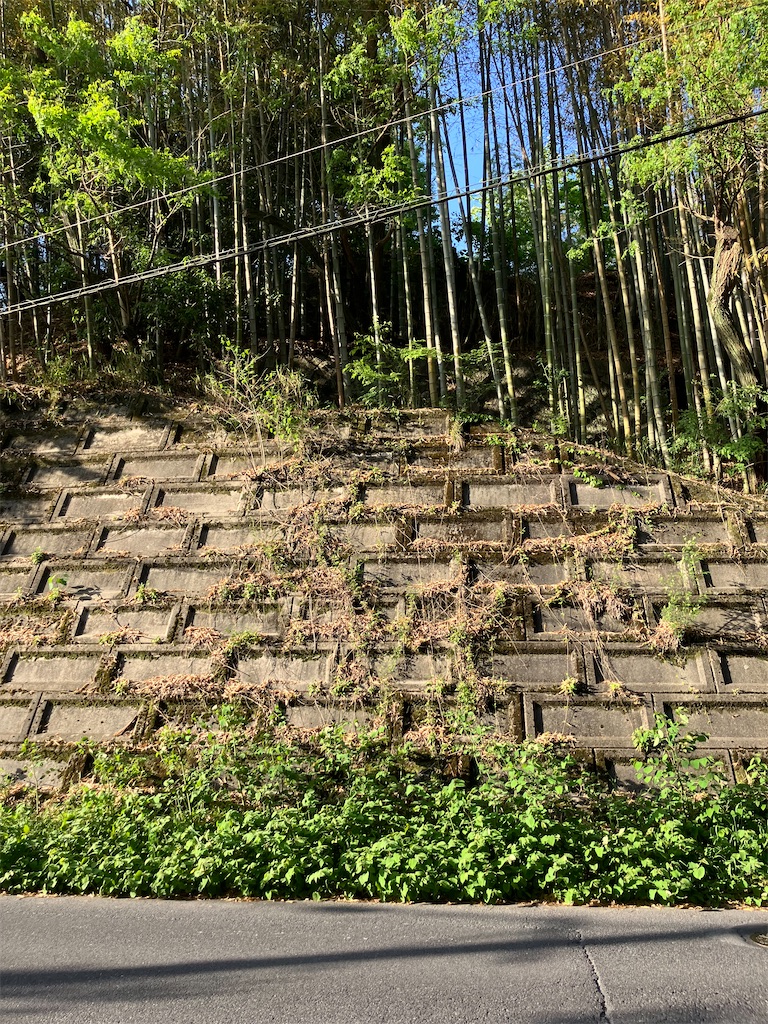 f:id:masaru-arameya:20240521163632j:image