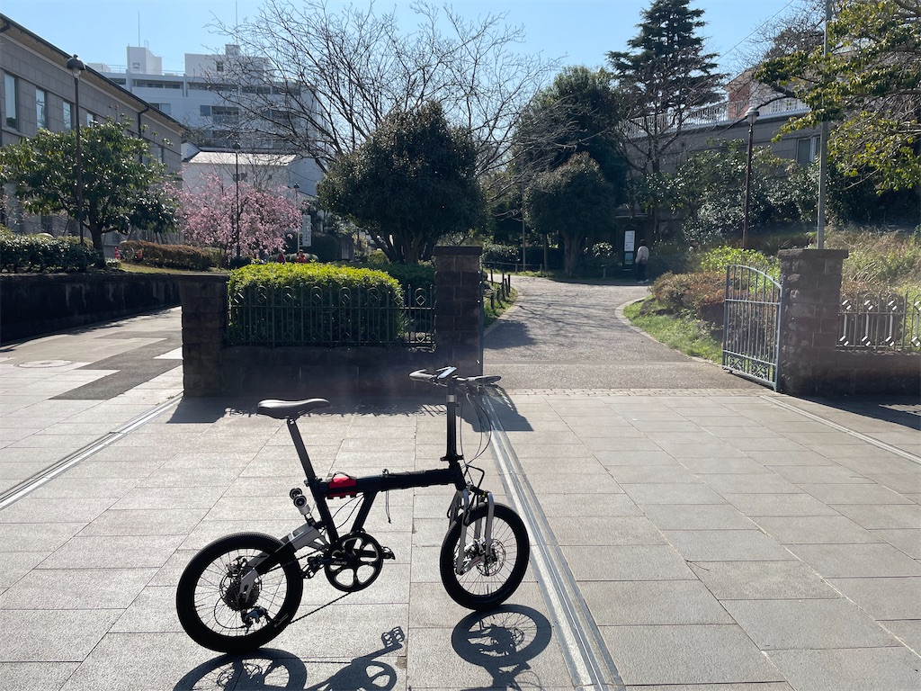 f:id:masaru-arameya:20260321231705j:image