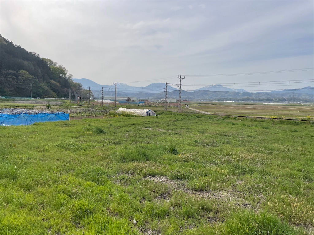 f:id:masaru-arameya:20260422155231j:image