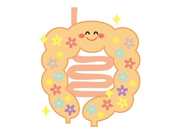 f:id:masaru-masaru-3889:20180627134154j:plain