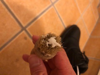 f:id:masaru123:20210627023626j:plain