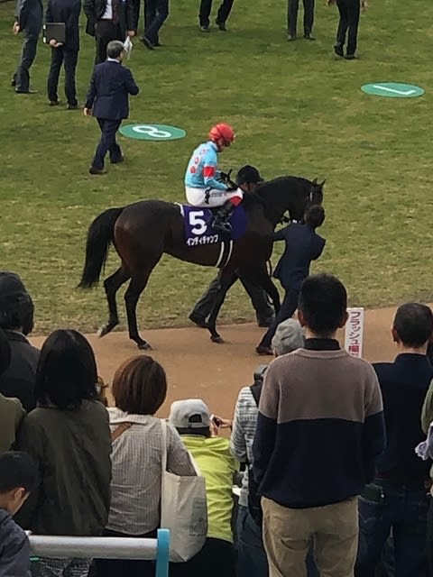 愛馬初の海外遠征 - まさるの一口馬主日記