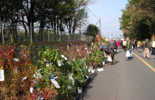 f:id:masarutti2:20120122133028j:image f:id:masarutti2:20120122133028j:image